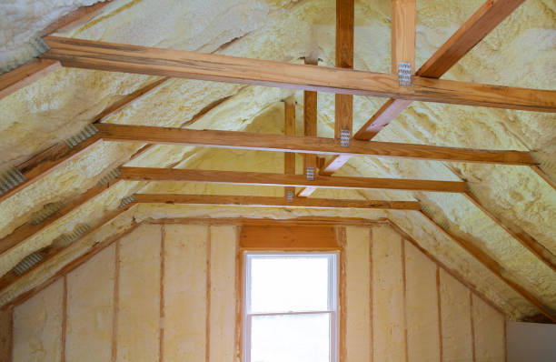 Professional Insulation Contractor in Hagan, GA