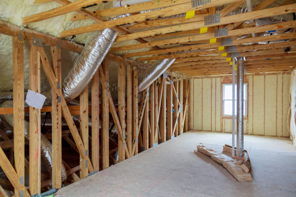 Best Insulation Maintenance and Repair in Han, GA