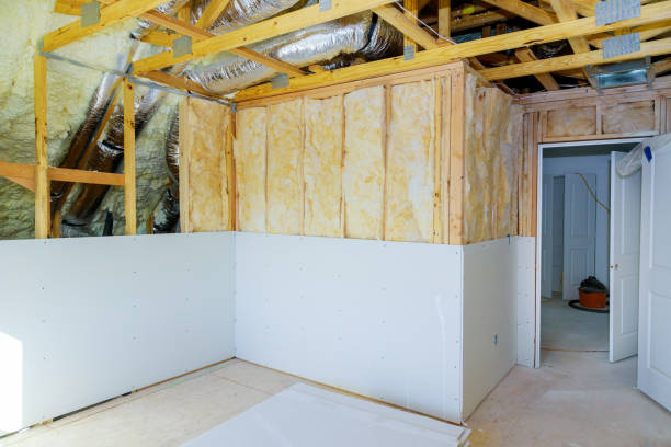 Best Spray Foam Insulation in Han, GA