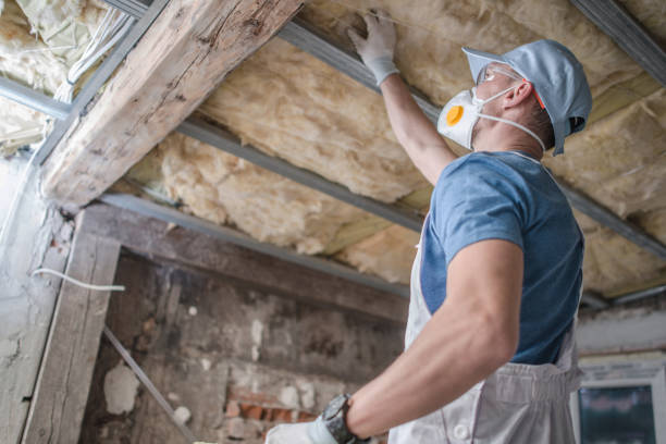 Best Specialized Insulation Services in Han, GA